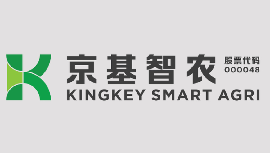 2025香港开奖结果记录及查询表图片,北京最冻人时刻来了,最新答案解释落实_高级版V6.42