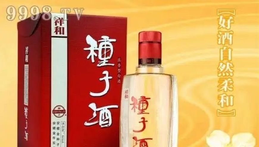 2025香港一码中码资料大全,梦瑶呀结婚了,创造力策略实施推广_专家版V7.42