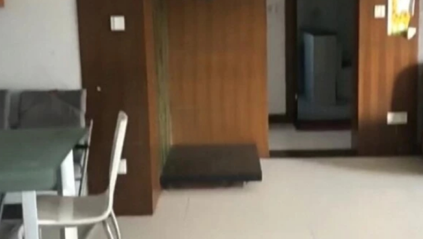 奥门王中王四年老玩家心得,温以凡换床单了,准确资料解释落实_豪华版V1.86